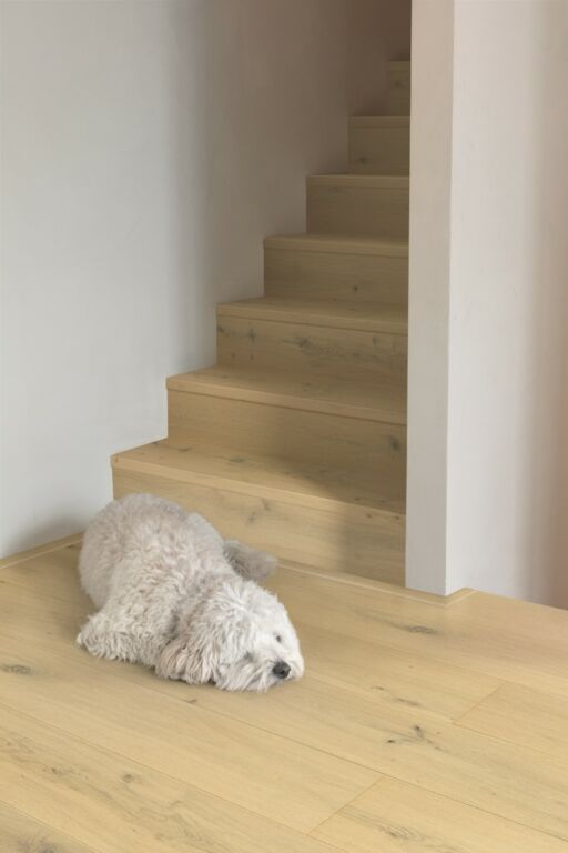 Quickstep Cala Pearl White Oak Engineered Flooring, Brushed & Extra Matt Lacquered, 220x13x2200mm Image 6