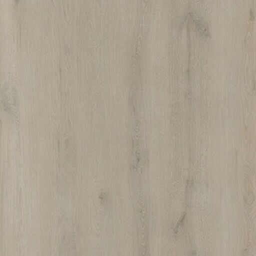 BML XL Titan Latte Oak SPC Rigid Vinyl Flooring, 228x6.5x1524mm