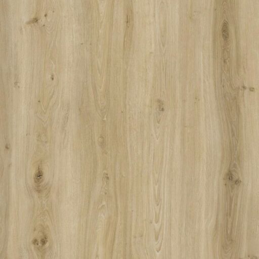 BML XL Titan Light & Pristine Oak Oak SPC Rigid Vinyl Flooring, 228x6.5x1524mm