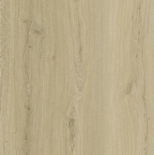 BML XL Titan Soft Oak SPC Rigid Vinyl Flooring, 228x6.5x1524mm