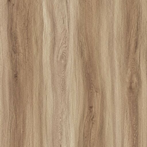 BML XL Titan Warm Oak SPC Rigid Vinyl Flooring, 228x6.5x1524mm