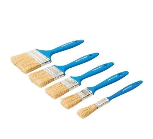 Disposable Paint Brush Set, 5pce