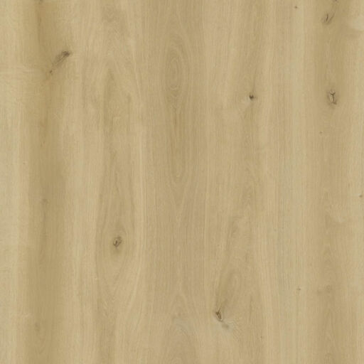 Eco Line Creamy Oak SPC Rigid Vinyl Flooring, 181x5.2x1220mm