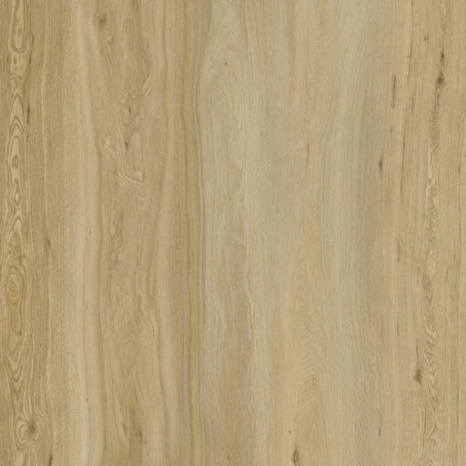 Eco Line Pale Oak SPC Rigid Vinyl Flooring, 181x5.2x1220mm